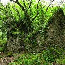 Схема вышивки «хижина»