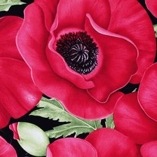 Схема вышивки «Подушка "Мак"»