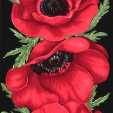 Схема вышивки «Маковое панно»