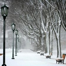 Схема вышивки «заснеженная аллея»