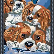 Схема вышивки «Собачье трио»
