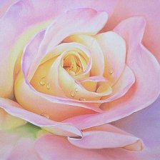 Схема вышивки «Роза и капельки росы»