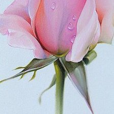 Схема вышивки «Бутон»