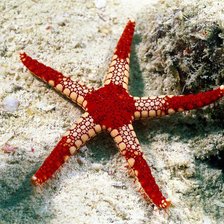 подводный мир