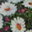 Предпросмотр схемы вышивки «Букет с ромашками» (№584923)