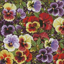 Схема вышивки «анюткины глазки»