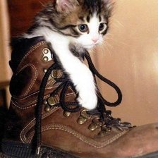 Схема вышивки «43 великоват»