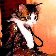 Схема вышивки «73 великоват дубль»