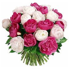 Схема вышивки «пионы»