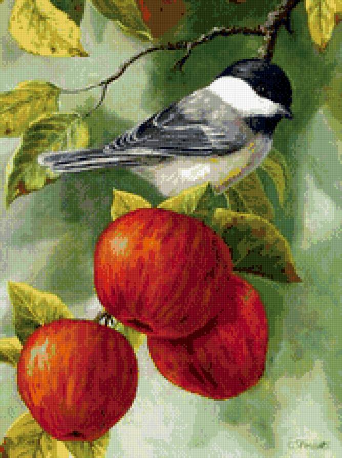 Ветка  с птичкой и яблоками - птица, ветка, яблоко - предпросмотр