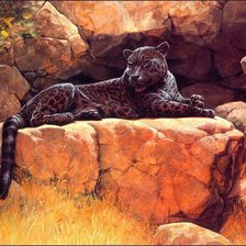 Схема вышивки «Леопард.Гай Кохелич»