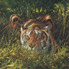 Схема вышивки «Леопард.Гай Кохелич»