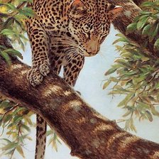 Схема вышивки «Леопард.Гай Кохелич»