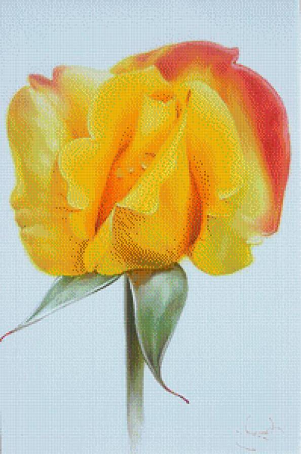 Розы.Лучков Василий - лучков василий, живопись, акварель, цветы, розы - предпросмотр