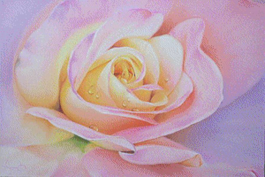 Розы.Лучков Василий - лучков василий, живопись, розы, акварель, цветы - предпросмотр