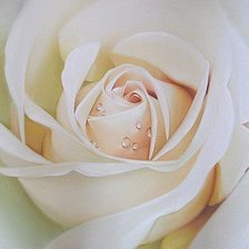 Схема вышивки «Розы.Лучков Василий»