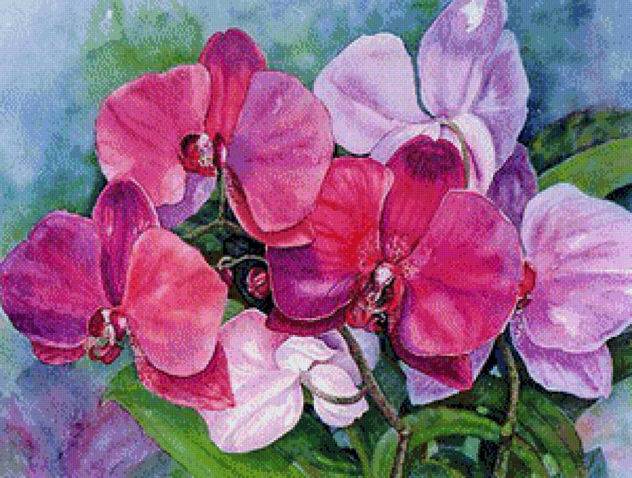 Цветы.Акварель - цветы.акварель - предпросмотр