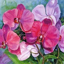 Схема вышивки «Цветы.Акварель»