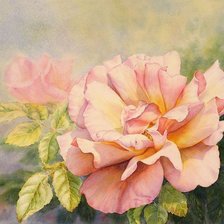 Схема вышивки «Розы.Акварель»