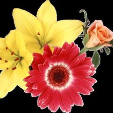 Схема вышивки «асорти»