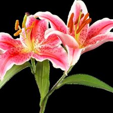 Схема вышивки «5»