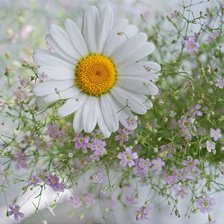 Схема вышивки «ромашка»