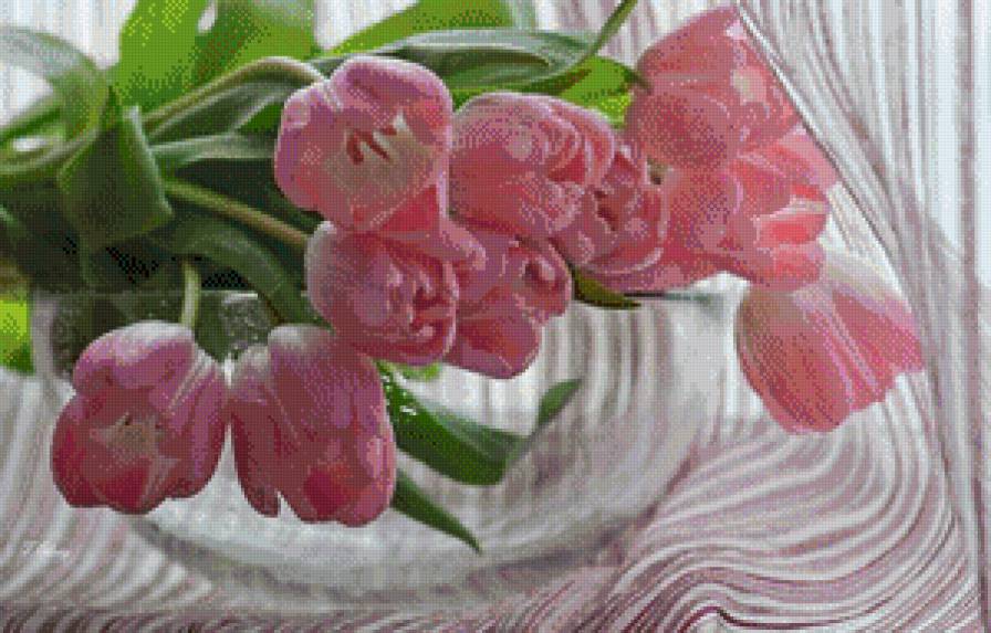 тюльпаны - тюльпаны, натюрморт, цветы - предпросмотр