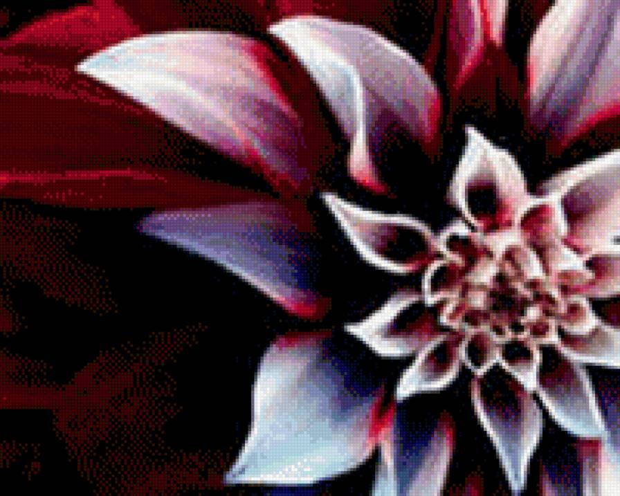 георгин - цветы - предпросмотр