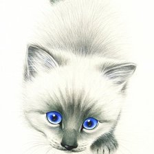 Схема вышивки «белая и пушистая...»