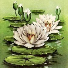 Схема вышивки «белые цветы»