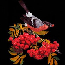 Схема вышивки «№585449»