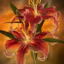 Схема вышивки «№585451»