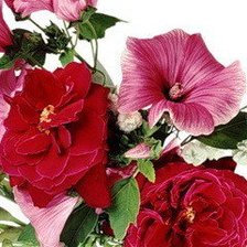 Схема вышивки «№585461»