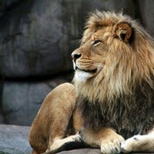 Схема вышивки «№585463»