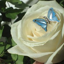 Схема вышивки «№585475»