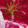 Предпросмотр схемы вышивки «№585479»