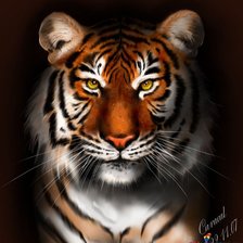 Схема вышивки «Тигр»