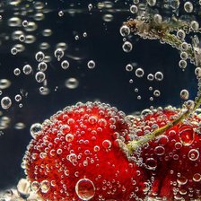 Схема вышивки «Вишня»