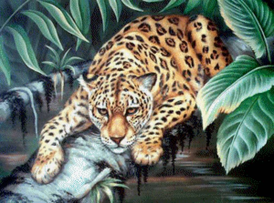 леопард4 - леопард - предпросмотр