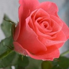 Схема вышивки «№585624»