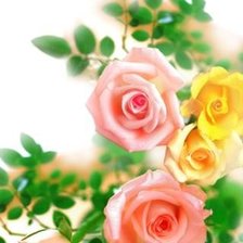 Схема вышивки «№585626»