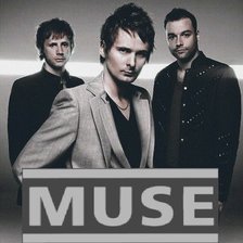 Схема вышивки «Подушка Muse»