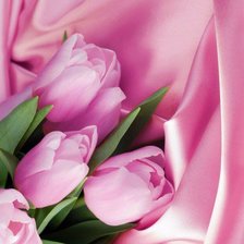 Схема вышивки «№585708»