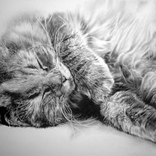 Схема вышивки «№585815»