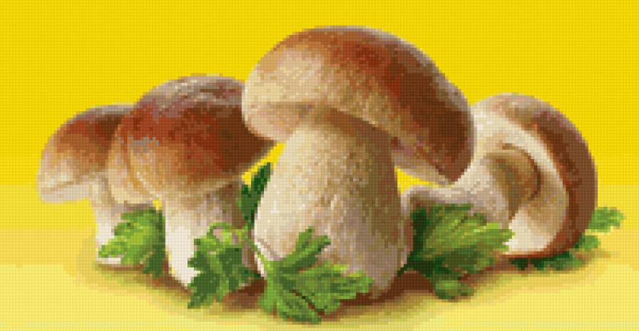 грибочки - предпросмотр