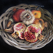 Схема вышивки «Дары природы»