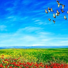 Схема вышивки «Весенний пейзаж»