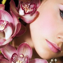 Схема вышивки «№586116»