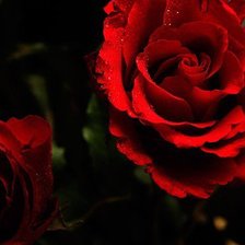 Схема вышивки «№586121»