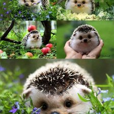 Схема вышивки «ёжик»